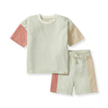 Color Blocked Boy Tee & Shorts Set
