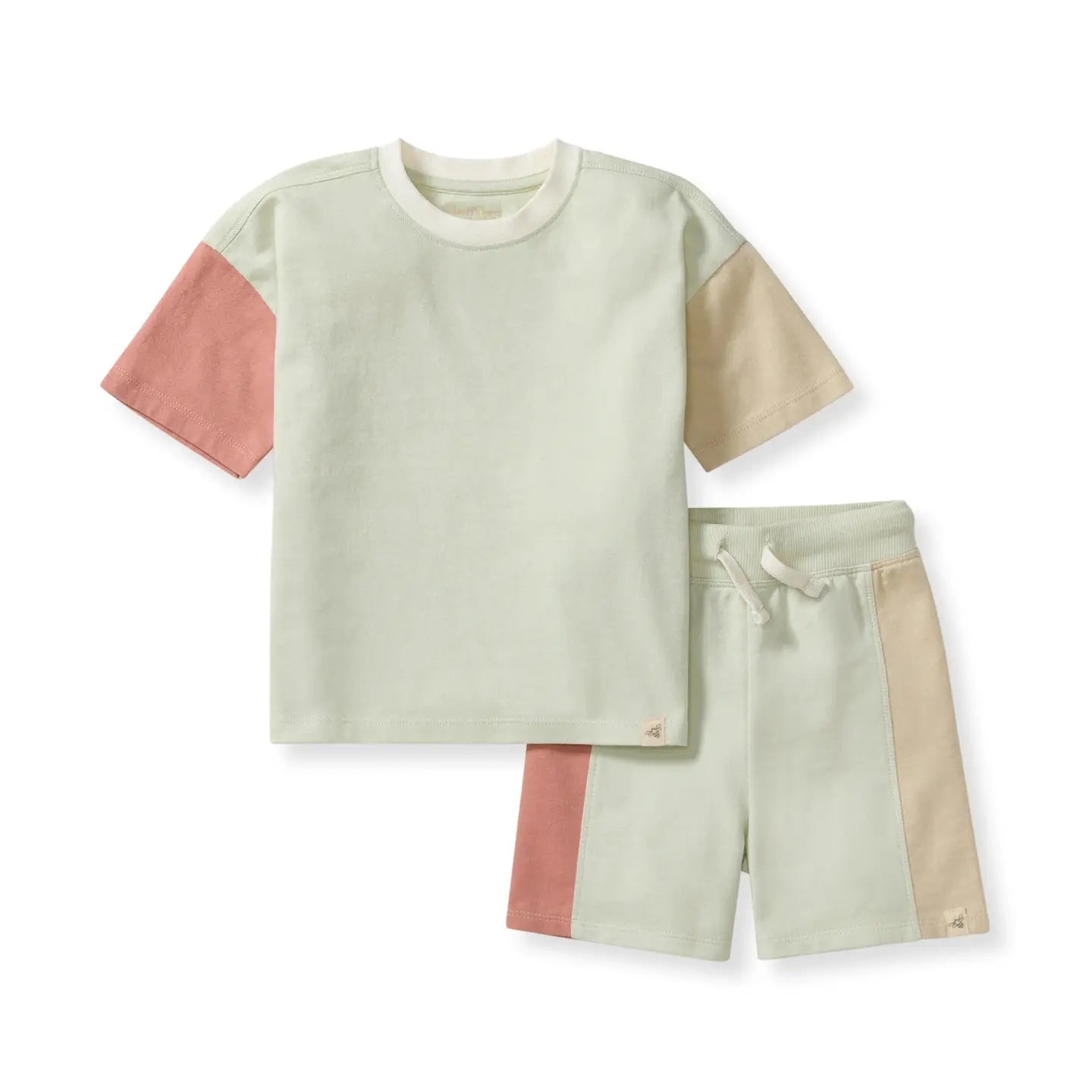 Color Blocked Boy Tee & Shorts Set