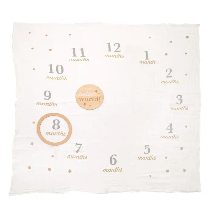 Monthly Milestone Blanket & Photo Prop Set Kit, First Year