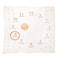 Monthly Milestone Blanket & Photo Prop Set Kit, First Year